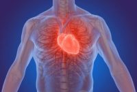 Gejala Penyakit Jantung Yang Perlu Diwaspadai