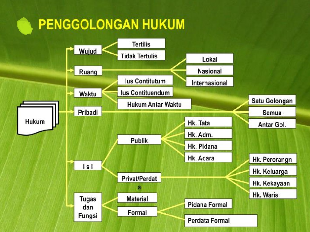 Apa Saja Jenis-Jenis Hukum Di Indonesia